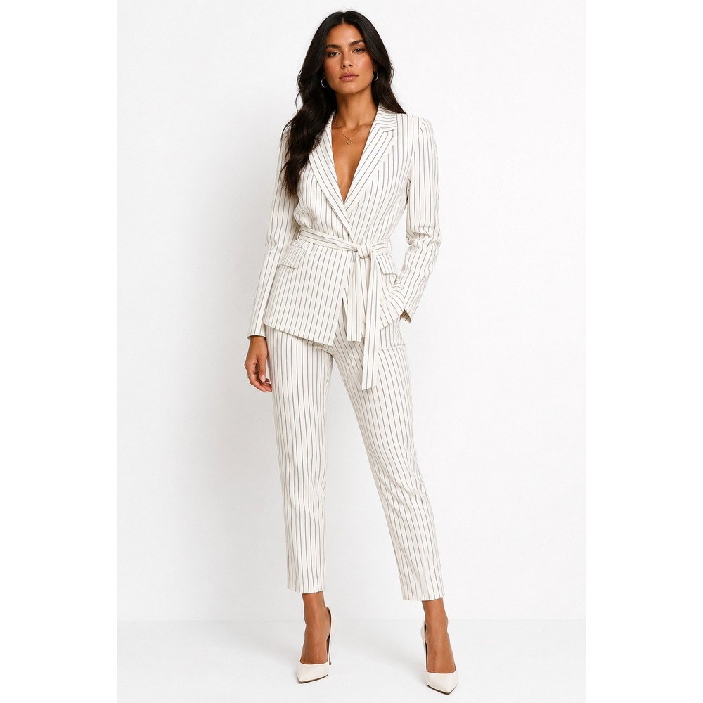 HAVE Los Angeles Pinstripe Blazer Pants Set Women's Size S Suit Separates